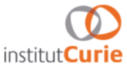 Institut Curie